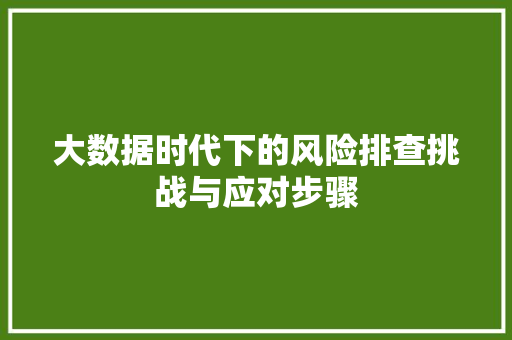 大数据时代下的风险排查挑战与应对步骤