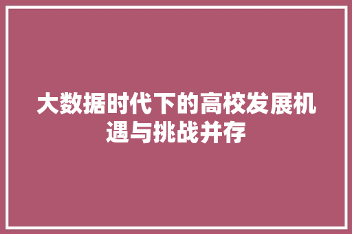 大数据时代下的高校发展机遇与挑战并存