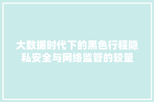 大数据时代下的黑色行程隐私安全与网络监管的较量