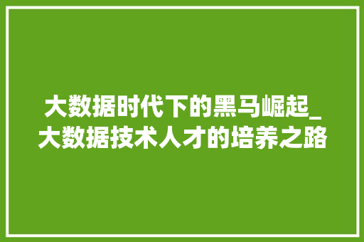 大数据时代下的黑马崛起_大数据技术人才的培养之路