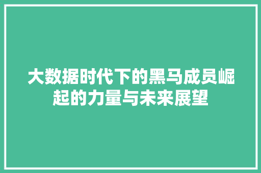 大数据时代下的黑马成员崛起的力量与未来展望