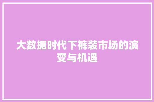 大数据时代下裤装市场的演变与机遇