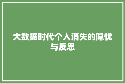 大数据时代个人消失的隐忧与反思
