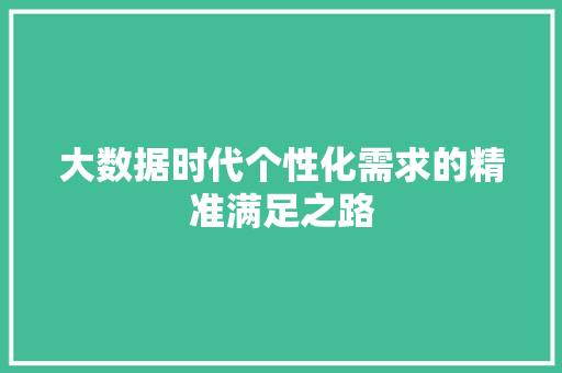 大数据时代个性化需求的精准满足之路