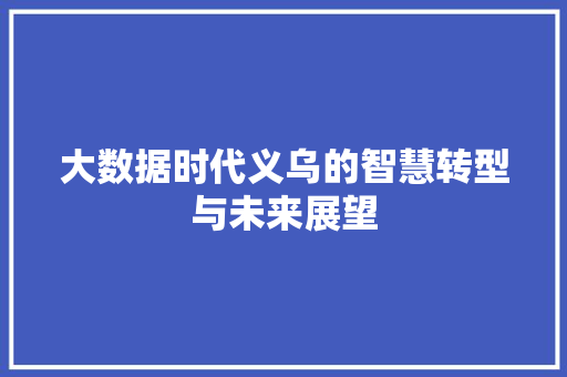 大数据时代义乌的智慧转型与未来展望