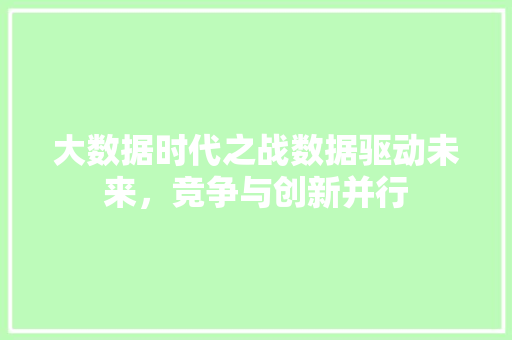 大数据时代之战数据驱动未来，竞争与创新并行