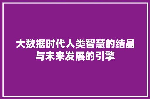 大数据时代人类智慧的结晶与未来发展的引擎
