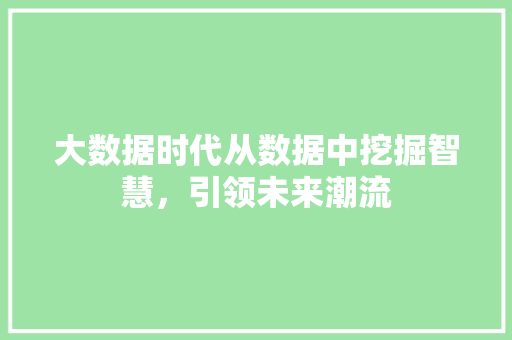 大数据时代从数据中挖掘智慧，引领未来潮流