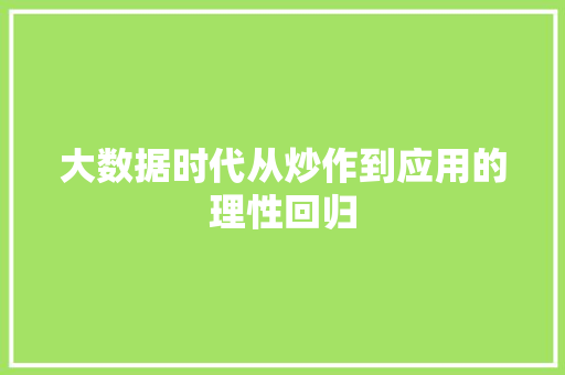 大数据时代从炒作到应用的理性回归