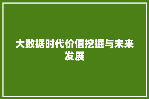 大数据时代价值挖掘与未来发展