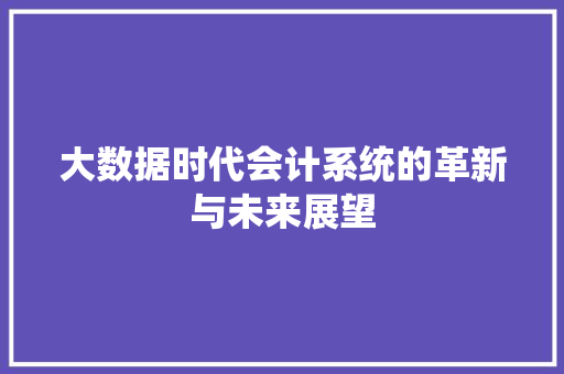 大数据时代会计系统的革新与未来展望