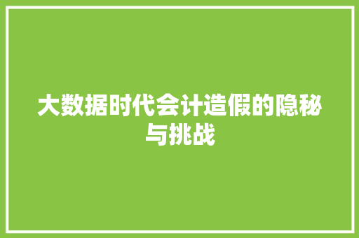 大数据时代会计造假的隐秘与挑战