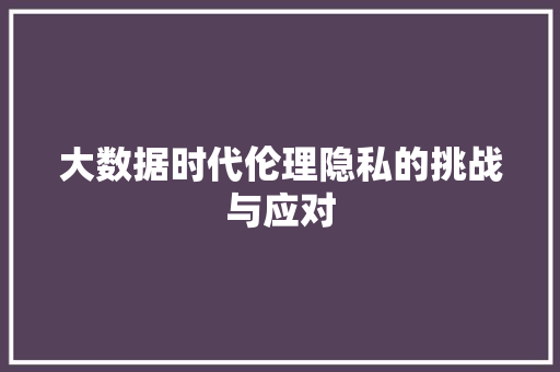 大数据时代伦理隐私的挑战与应对