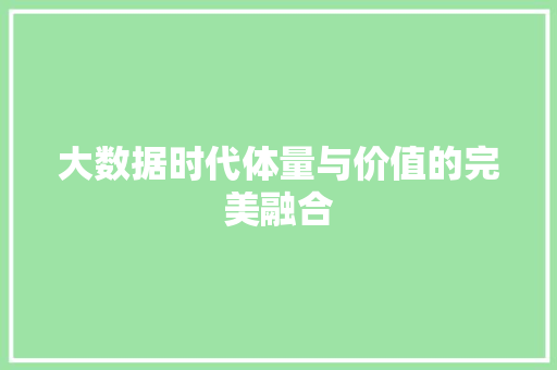 大数据时代体量与价值的完美融合