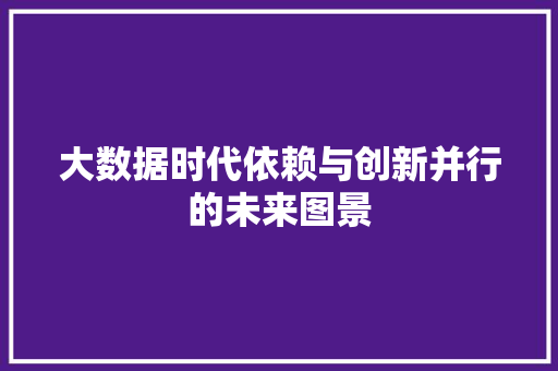大数据时代依赖与创新并行的未来图景