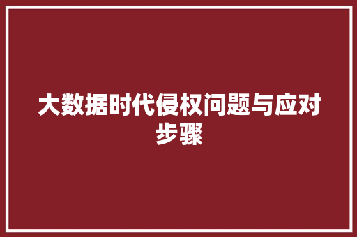 大数据时代侵权问题与应对步骤