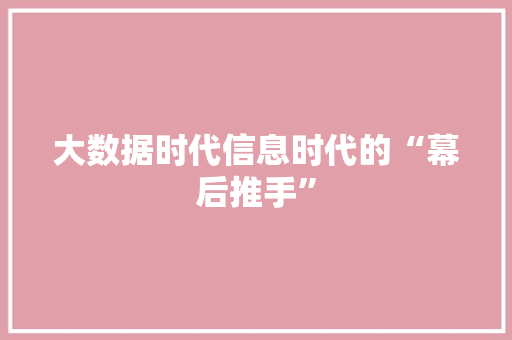 大数据时代信息时代的“幕后推手”