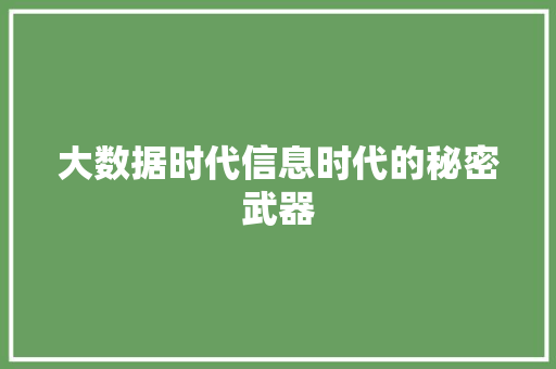 大数据时代信息时代的秘密武器