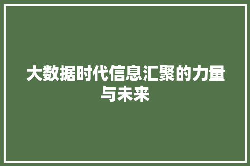 大数据时代信息汇聚的力量与未来