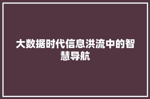 大数据时代信息洪流中的智慧导航