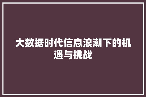 大数据时代信息浪潮下的机遇与挑战