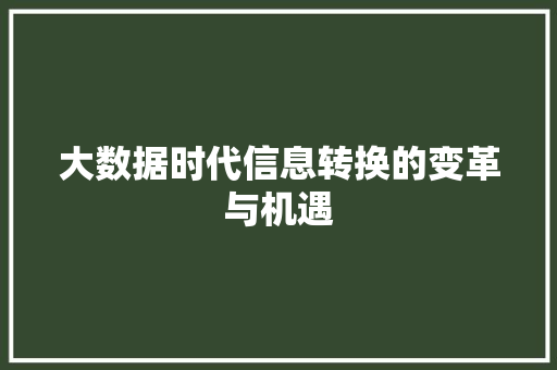 大数据时代信息转换的变革与机遇