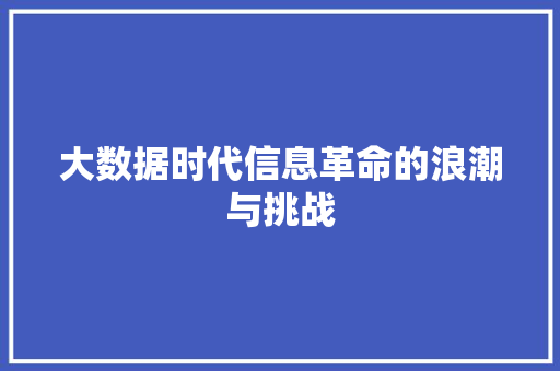 大数据时代信息革命的浪潮与挑战