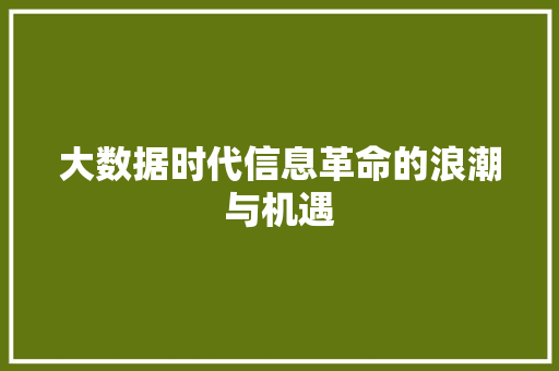 大数据时代信息革命的浪潮与机遇