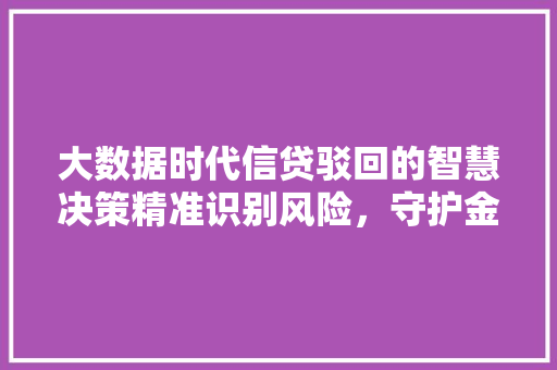 大数据时代信贷驳回的智慧决策精准识别风险，守护金融安全