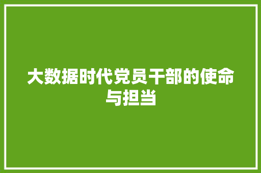 大数据时代党员干部的使命与担当