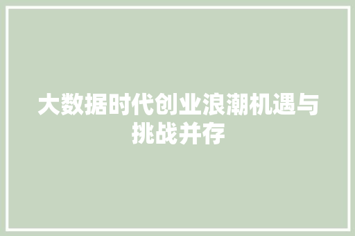 大数据时代创业浪潮机遇与挑战并存
