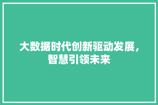 大数据时代创新驱动发展，智慧引领未来