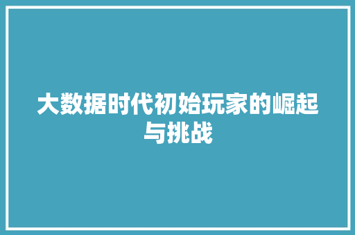大数据时代初始玩家的崛起与挑战