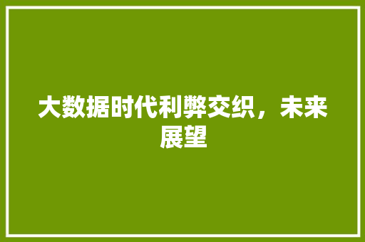 大数据时代利弊交织，未来展望