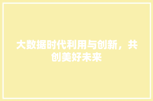 大数据时代利用与创新，共创美好未来