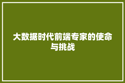 大数据时代前端专家的使命与挑战