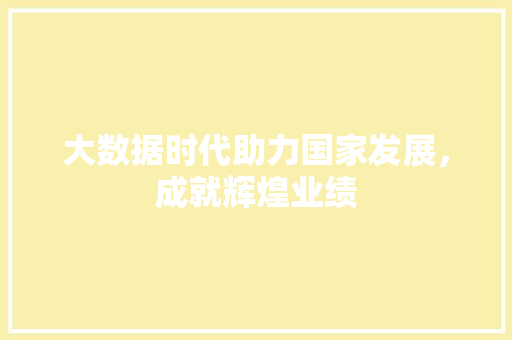大数据时代助力国家发展，成就辉煌业绩