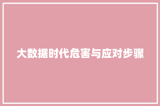 大数据时代危害与应对步骤 SEO教程