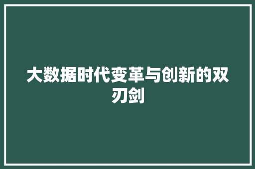大数据时代变革与创新的双刃剑