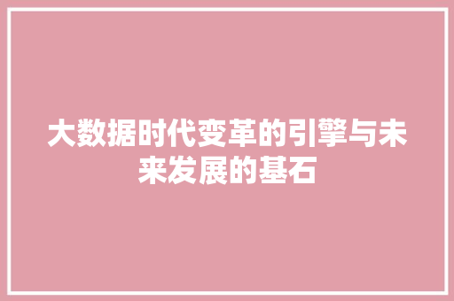 大数据时代变革的引擎与未来发展的基石 WordPress教程