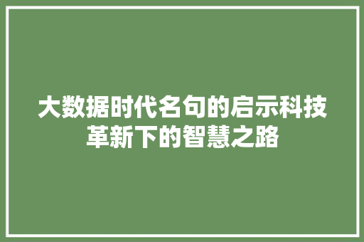 大数据时代名句的启示科技革新下的智慧之路