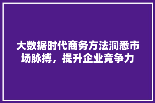 大数据时代商务方法洞悉市场脉搏，提升企业竞争力
