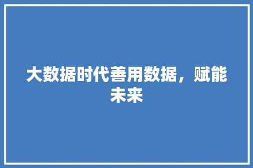 大数据时代善用数据，赋能未来