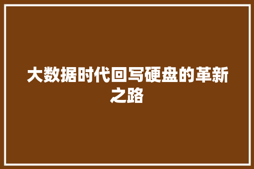 大数据时代回写硬盘的革新之路