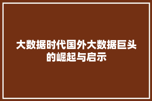 大数据时代国外大数据巨头的崛起与启示
