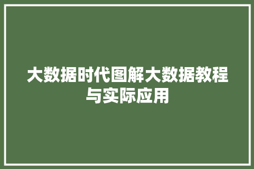 大数据时代图解大数据教程与实际应用