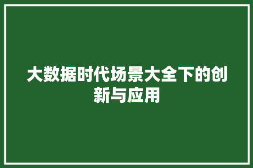 大数据时代场景大全下的创新与应用