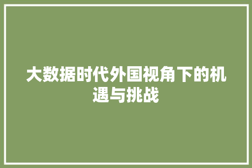大数据时代外国视角下的机遇与挑战