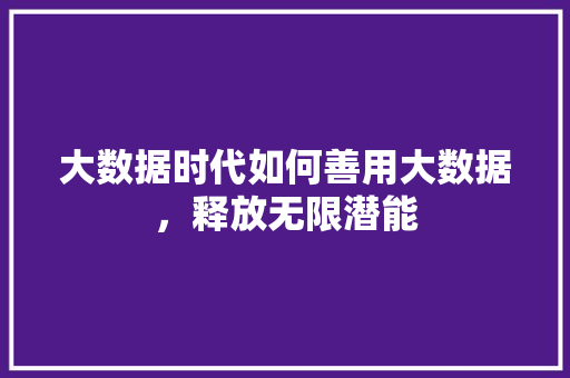大数据时代如何善用大数据，释放无限潜能