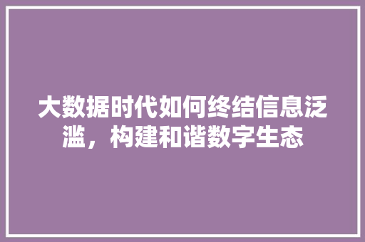 大数据时代如何终结信息泛滥，构建和谐数字生态